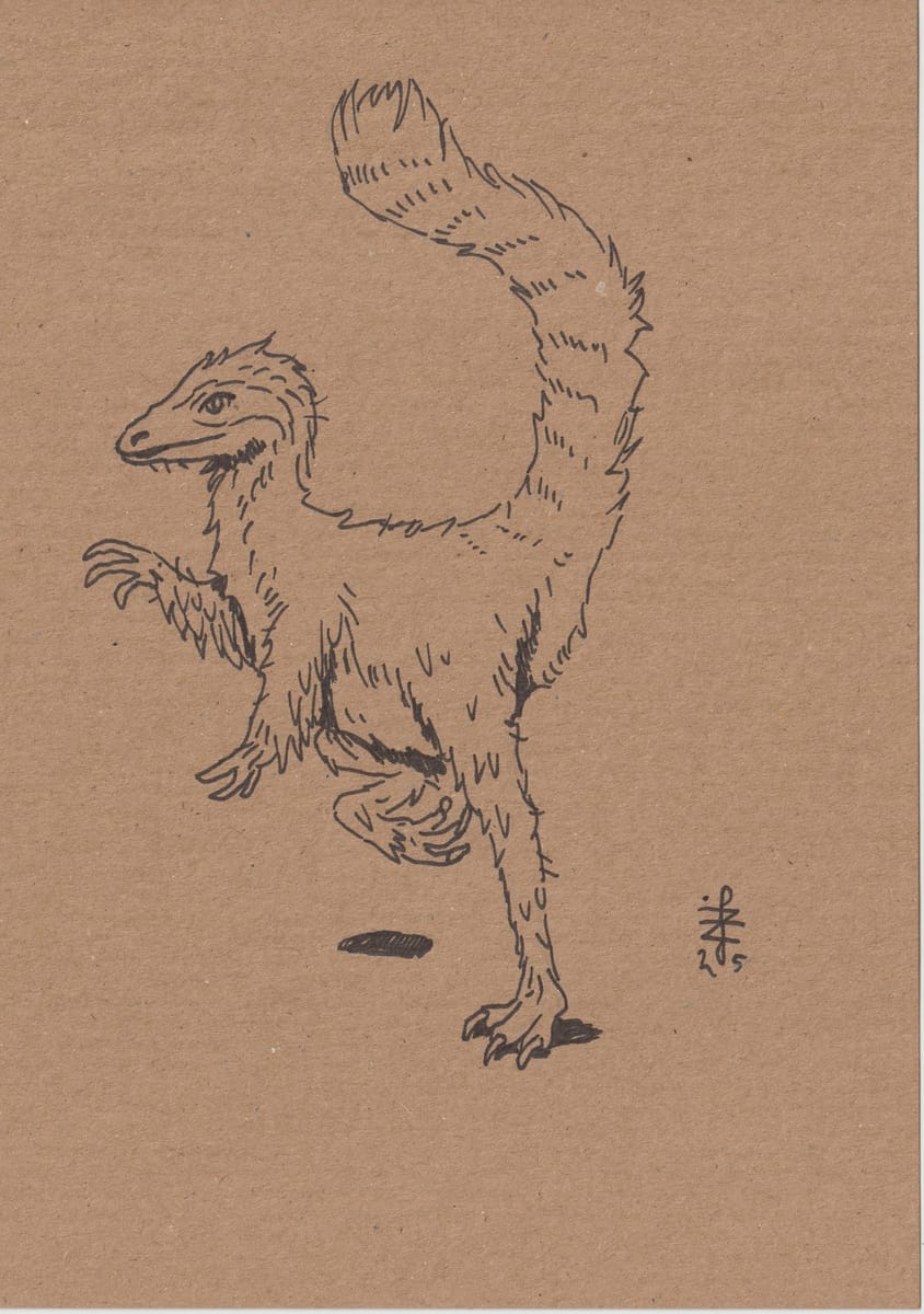 dinosaurs-vi-sinosauropteryx-2025-a5